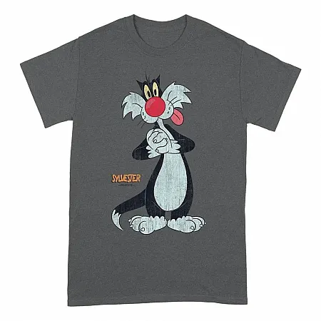 images/uploads/38048/thumb_LOONEY_TUNES_SYLVESTER_T_SHIRT_31.3.21.webp