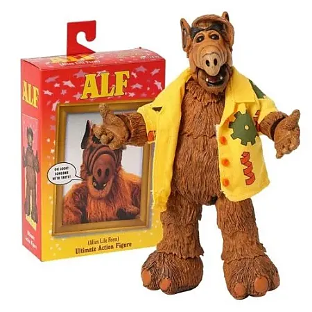 images/uploads/53443/thumb_ALF_-_ACTION_FIGURE_-_ULTIMATE_ALF_001.webp