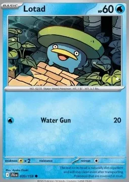 Lotad (JTG 035) - Common (Foil)