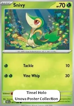 Snivy (xBLK 001) - Promo (Tinsel Holo)