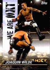 2021 Topps WWE NXT We Are NXT Wrestling Card - Joaquin Wilde NXT-26