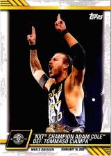 2021 Topps WWE NXT Wrestling Card - Adam Cole NXT-4