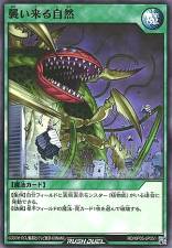 Invading Nature - RD/KP05-JP051 - Common